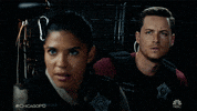 What Is That Chicago Pd GIF by One Chicago