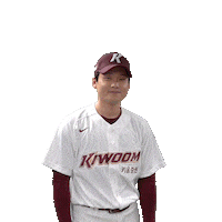 이종민 Sticker by Kiwoom Heroes Baseball Club