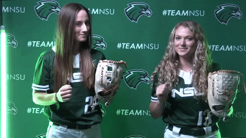 Softball GIF by RiverHawk Sports