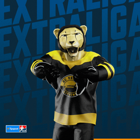 Hockey Hokej GIF by Tipsport extraliga