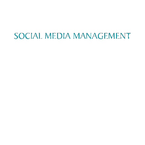 Consulting Social Media Sticker by Diamond Digital Marketing Co.