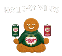 Sponsored gif. A gingerbread cookie in a Canada Dry sweater meditates. Cans of Canada Dry are floating about his hands, and he is floating gently up and down. Text reads: "Holiday Vibes"