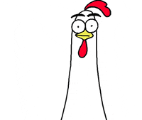 Chicken Ok GIF by happydog