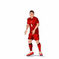 World Cup Football GIF by Panini America