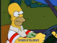 Season 1 GIF by The Simpsons