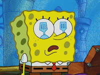 season 4 GIF by SpongeBob SquarePants
