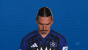Look Up Hamburger Sv GIF by Bundesliga