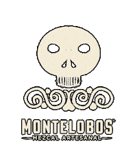 Mexico Cheers Sticker by Ancho Reyes