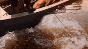 troy landry alligator GIF by Swamp People