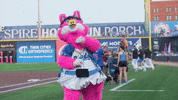 Weird Al Dance GIF by St. Paul Saints