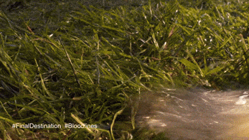 Warner Bros Wb GIF by Warner Bros. Pictures