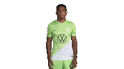 Happy Football Sticker by VfL Wolfsburg
