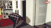 linde merckpoel bram willems GIF by Studio Brussel