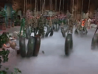 legends of the hidden temple nicksplat GIF