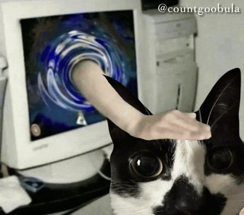 Funny Cat GIF
