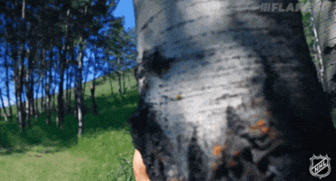 Serious Calgary Flames GIF by NHL