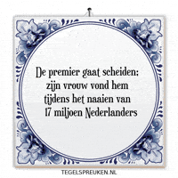 Drama Nl GIF by Tegelspreuken.nl