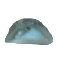 Music Video Sticker Sticker by Greta Van Fleet