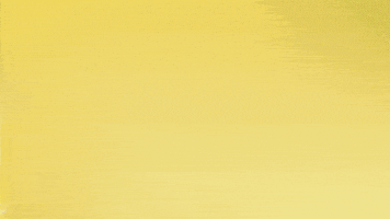 Borussia Dortmund Hello GIF by Bundesliga