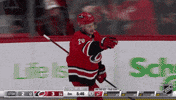 Happy Carolina Hurricanes GIF by NHL