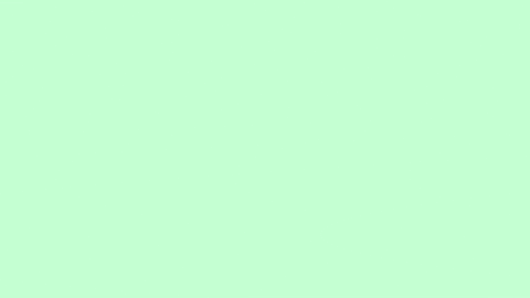 shersmy giphyupload shers wearshers shersbrand GIF