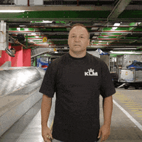 Royal Dutch Airlines Travel GIF by KLM