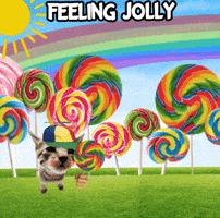 Sunshine Silly Cat GIF