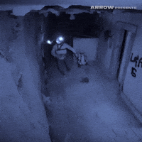 Found Footage Film GIF by Arrow Video