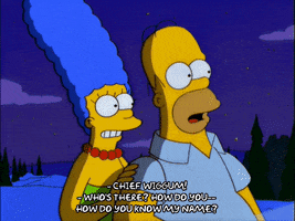 homer simpson GIF