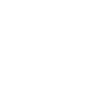 lionspeedgp lion motorsport porsche lowe Sticker