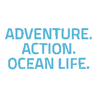 Ocean Sticker by Moving Adventures Medien