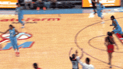 AtlantaDream sports 3 three womens basketball GIF