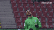 werder bremen bundesliga GIF