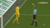 werder bremen bundesliga GIF