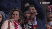 werder bremen bundesliga GIF