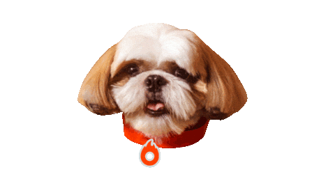 Shihtzu Sticker by Hotmart