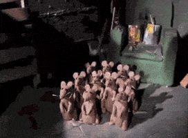 deal wallace GIF