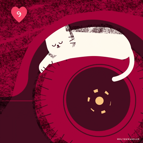 WeltenwandlerDesignagenturGmbH giphyupload cat animation illustration GIF