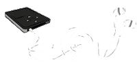 pianpianii music caracol escargot lumaca Sticker