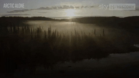 crimeinvestigationuk giphygifmaker GIF