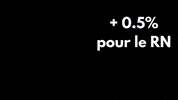 Rassemblement National GIF