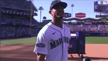 Major League Baseball Sport GIF by MLB