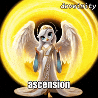 Divine GIF by thedoveinity