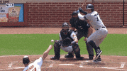 Jomboy  GIF