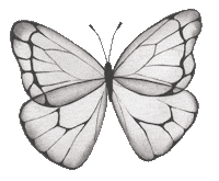 Butterfly Self Care Sticker by Your Inner Babe