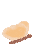 Butterfly Bloom Sticker