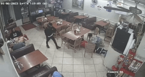 yj_jane giphyupload GIF