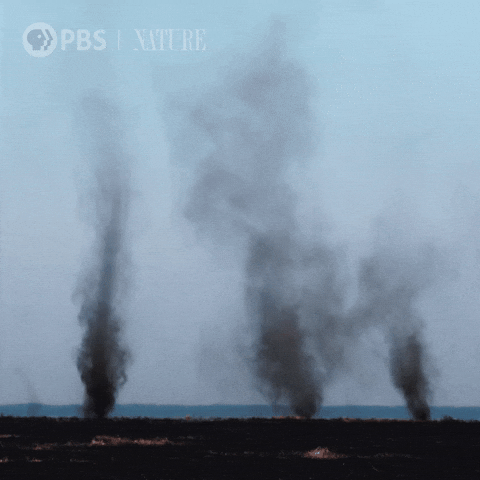 Weather Explore GIF by Nature on PBS