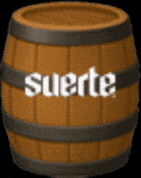 Mexico Rabbit GIF by Suerte Tequila