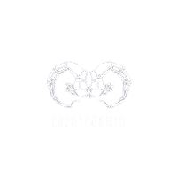Signos Sticker by Magnólia Papelaria
